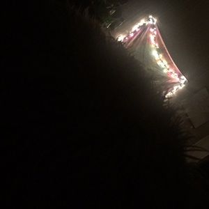 Meet your Posher, Josie